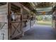 Spacious horse barn with horses in stalls, wood construction, and a white cat in the isle at 31707 Orange St, Sorrento, FL 32776