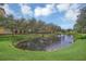 Scenic view of a pond surrounded by lush greenery and trees, a tranquil community setting at 506 Mirasol Cir # 202, Celebration, FL 34747