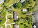 Overhead view of a lakefront home with mature trees, a dock, and a well-maintained lawn at 9744 Cub Cv, Apopka, FL 32703