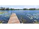 Lakeside dock with clear blue water and serene water lilies at 9744 Cub Cv, Apopka, FL 32703