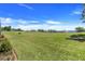 Expansive green backyard with lush lawn; lake and neighboring homes are visible in distance at 10544 Spring Lake Dr, Clermont, FL 34711