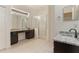 The main bathroom showcases a vanity area, a walk-in shower, and modern fixtures at 24515 Bocage Way, Leesburg, FL 34748