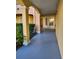 Exterior hallway showcasing the entryway with views of the well maintained landscaping at 8763 Worldquest Blvd # 5103, Orlando, FL 32821