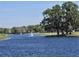 Picturesque lake view showcasing calm waters, lush green shoreline, and mature trees at 24 Cypress Ave, St Cloud, FL 34769