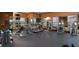 Gym featuring lots of mirrors, free weights, treadmills, and weight machines at 3345 Messina Dr, Lake Mary, FL 32746