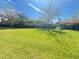 Large backyard with green grass, blue skies, and mature trees at 603 Russ Pond Dr, Kissimmee, FL 34759