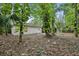 Exterior backyard view featuring trees and plants at 703 Sailfish Rd, Winter Springs, FL 32708