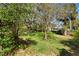 Expansive backyard with lush green grass and mature trees providing ample shade at 2723 Beacon St, Eustis, FL 32726