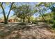 Large backyard with mature trees surrounding the property at 46 Smyrna Dr, Debary, FL 32713