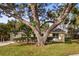 Charming home exterior featuring a well-maintained lawn and mature trees at 4907 Lindsay Ct, Orlando, FL 32821
