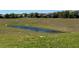 A scenic view of a community pond surrounded by well-manicured green grass at 5771 Mangrove Cove Ave, Winter Garden, FL 34787
