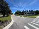 Scenic street view, lined with mature trees leading to the Orchard Hills entrance at 5771 Mangrove Cove Ave, Winter Garden, FL 34787