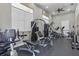 Well-equipped gym featuring treadmills, weight machines, and large windows with natural light at 1325 Seburn Rd, Apopka, FL 32703