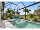 Screened-in pool and spa area with outdoor lounging and a serene landscape with beautiful palm trees at 13346 Alderley Dr, Orlando, FL 32832