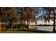 Lakefront backyard with a dock, boat lift, and picturesque trees draped with Spanish moss at 2020 Venetian Way, Winter Park, FL 32789