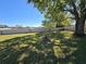 Expansive backyard view featuring a lush green lawn, mature shade tree, and a perimeter wall at 2511 Chatham Cir, Kissimmee, FL 34746