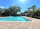 Community pool with clear blue water, palm trees and well maintained brick pavers at 3415 Starbird Dr, Ocoee, FL 34761
