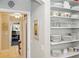 Bright pantry with organized shelving, dishes, glassware, and convenient access at 703 Valencia Shores Dr, Winter Garden, FL 34787