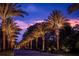 Scenic evening view of a palm-lined street, illuminated by warm lighting under a vibrant sunset sky at 14501 Grove Resort Ave # 3601, Winter Garden, FL 34787