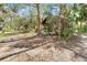 The yard surrounded by many trees at 220 Wekiva Park Drive, Sanford, FL 32771
