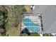 Aerial view of the pool and spa inside a screened-in enclosure, with mature trees providing shade and privacy at 5776 Falling Tree Ln, Port Orange, FL 32127