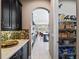 Modern kitchen with black cabinets, stainless appliances, and a pantry at 14172 Hutchinson St, Winter Garden, FL 34787
