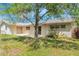Private backyard with a covered patio and a tree in the yard, ideal for outdoor relaxation and entertainment at 1873 Poinciana Rd, Winter Park, FL 32792