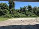 View of treelined backyard area with privacy fence at 2430 Francisco Art Ct, Oviedo, FL 32765