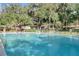 Large community pool surrounded by lush greenery, mature trees and lounge chairs on a sunny day at 638 Maple Oak Cir # 112, Altamonte Springs, FL 32701