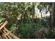 Lush green space with a wooden fence, trees, ferns, and other vegetation at 691 Monroe Harbor Pl, Sanford, FL 32773