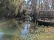 Back yard pond featuring a boat dock, surrounded by lush greenery for a serene outdoor experience at 11847 Ocklawaha Dr, Leesburg, FL 34788
