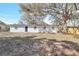 Spacious backyard featuring a white brick building and large, mature tree providing ample shade at 3434 Se 12Th St, Ocala, FL 34471