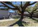 Large backyard featuring a spacious lawn and mature trees providing shade at 714 Kankakee Ln, Orlando, FL 32807