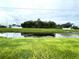 Scenic backyard view overlooking a tranquil pond surrounded by lush greenery and distant homes at 1018 Martin Blvd, Orlando, FL 32825