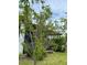Lush peach tree enhancing the yard's beauty with its vibrant green leaves and healthy branches near the home at 11810 Imaginary Way, Orlando, FL 32832