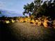 Backyard illuminated with landscape lighting, creating a serene ambiance amongst the lush tropical foliage at 2271 Delhi Pl, Sanford, FL 32771