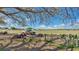 Expansive backyard featuring a truck, equipment, and plenty of open space, ideal for outdoor activities at 37149 Sandy Ln, Grand Island, FL 32735