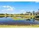 Backyard view of a tranquil pond with serene lily pads on the water at 14136 Magnolia Glen Cir, Orlando, FL 32828