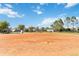 Community baseball diamond with green surroundings, promising fun outdoor activities for everyone at 2951 Irish Peach Dr, Winter Garden, FL 34787