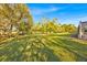 The spacious backyard features a lush green lawn, mature trees, and partial view of the screened enclosure at 141 Greenfield Rd, Winter Haven, FL 33884