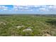 Scenic aerial view showcasing a home with a metal roof amidst a sprawling landscape of dense trees at 2240 W Dale Cir, Deland, FL 32720