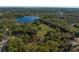 Aerial view of large lot featuring mature trees at 372 Carpenter Ave, Osteen, FL 32764