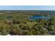 Expansive aerial view of a large lot surrounded by lush greenery and a serene lake at 372 Carpenter Ave, Osteen, FL 32764