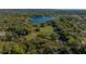 Stunning aerial view of a property with lush greenery and a serene lake, offering a picturesque and private setting at 372 Carpenter Ave, Osteen, FL 32764