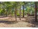 Expansive backyard featuring mature trees and a screened-in porch, perfect for enjoying the outdoors at 450 Cassady St, Umatilla, FL 32784