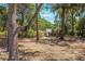 A glimpse of the home's exterior through the trees, revealing a screened porch and a well-maintained landscape at 450 Cassady St, Umatilla, FL 32784