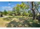 Large backyard with mature trees at 913 Jacaranda Dr, Lady Lake, FL 32159