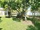 View of the spacious backyard with mature trees offering shade and privacy at 3810 Blue Dasher Dr, Kissimmee, FL 34744