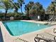 A large community pool surrounded by palm trees and lounge chairs for residents to relax at 7109 Yacht Basin Ave # 430, Orlando, FL 32835