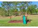 Backyard playground with swings, a slide, and a playhouse, all set on a grassy lawn under tall trees at 10544 Parkway Dr, Clermont, FL 34711